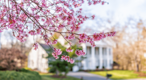 Spring Real estate Market